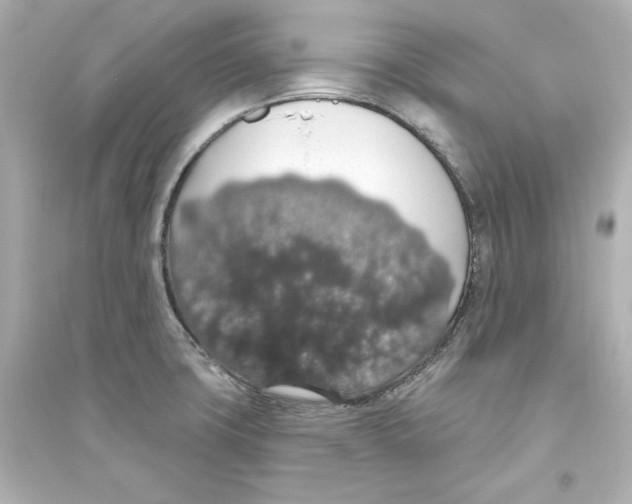 X0000093621427200711121225