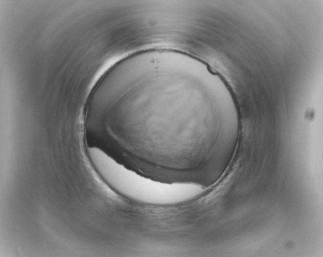 X0000093621428200711121225