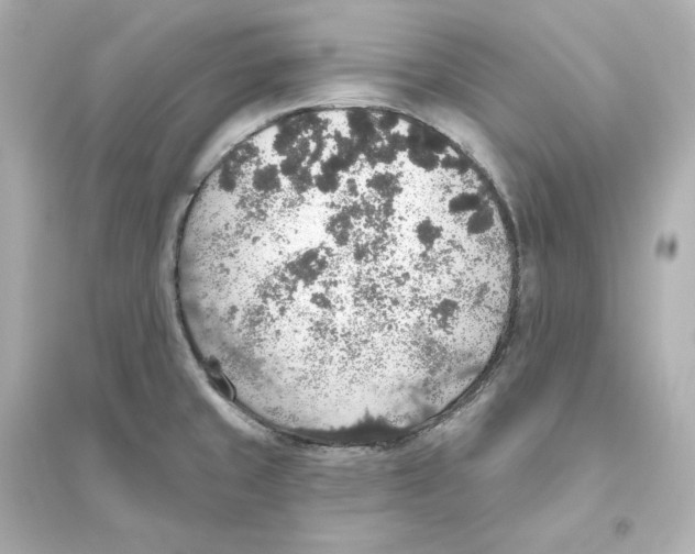 X0000093621429200711121225