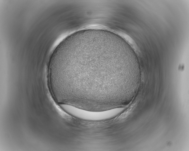 X0000093621430200711121225