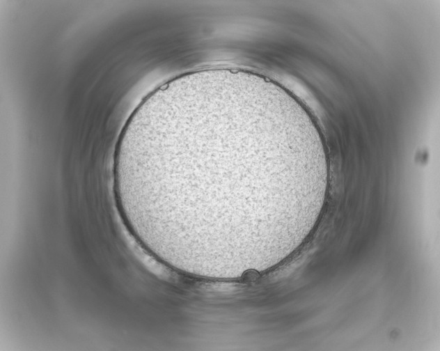 X0000093621431200711121225