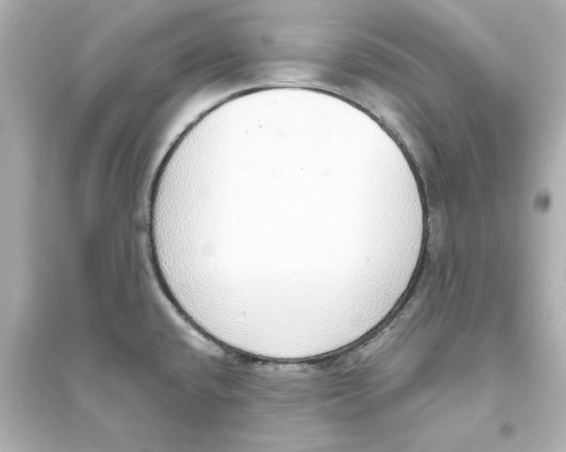 X0000093621432200711121225