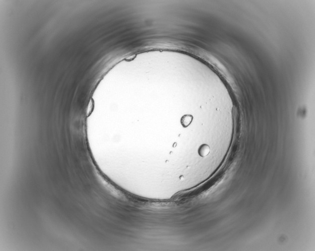 X0000093621433200711121225