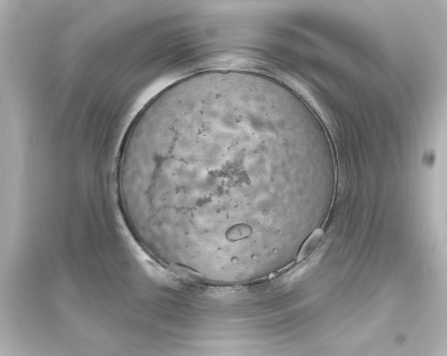 X0000093621434200711121225