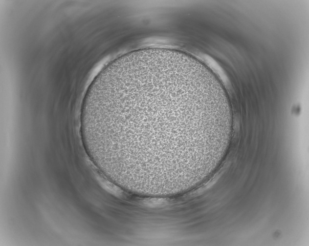 X0000093621435200711121225