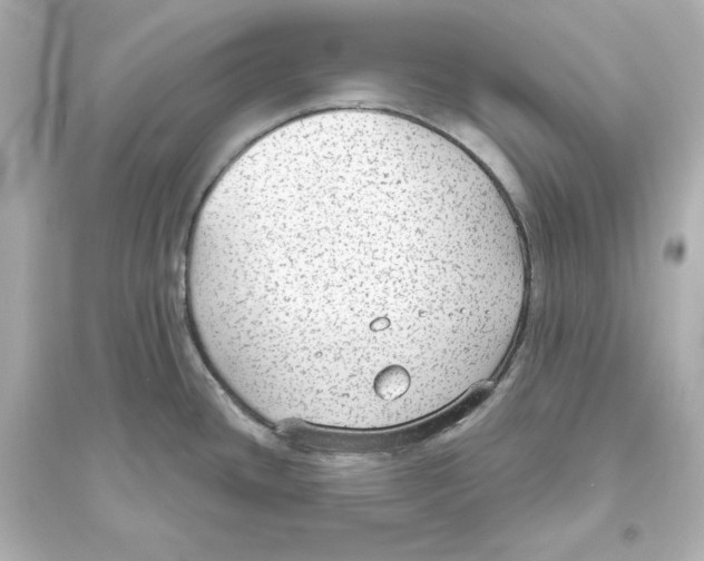 X0000093621436200711121225