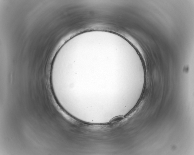 X0000093621437200711121225