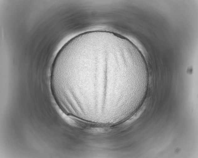 X0000093621438200711121225