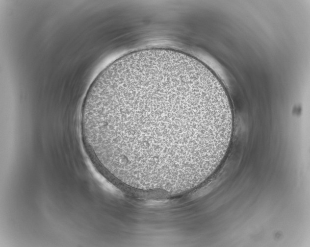 X0000093621439200711121225