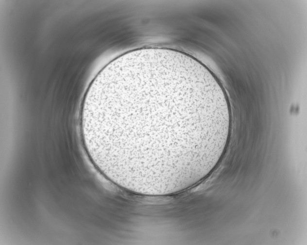 X0000093621440200711121225