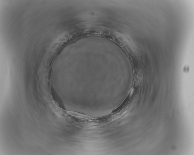 X0000093621441200711121225