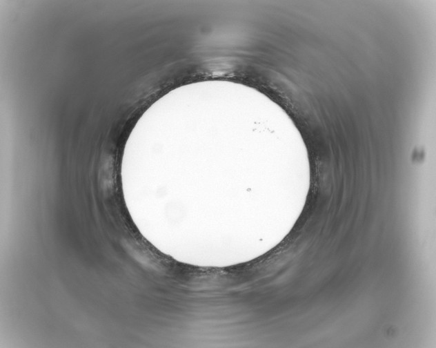 X0000093621442200711121225