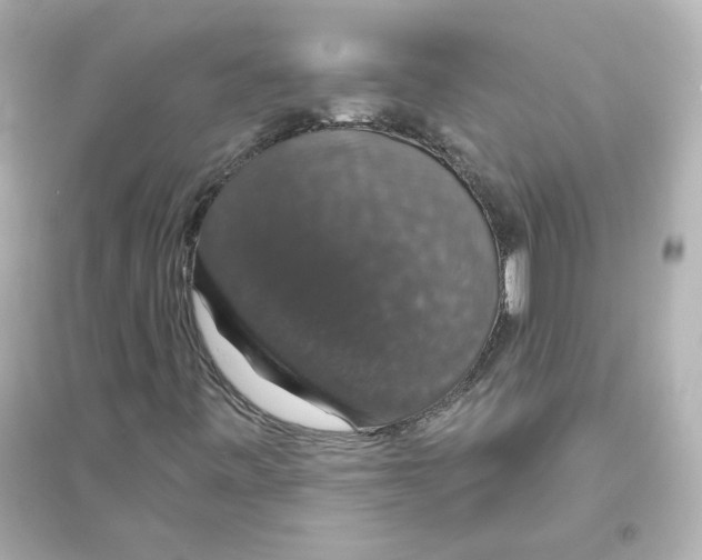 X0000093621443200711121225