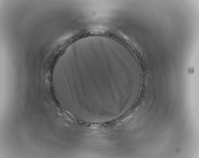 X0000093621445200711121225