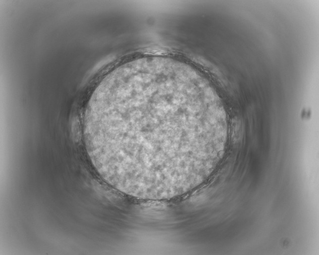 X0000093621446200711121225