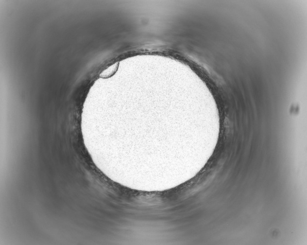 X0000093621447200711121225