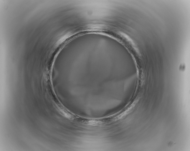 X0000093621449200711121225