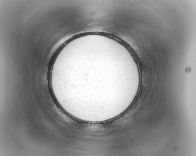 X0000093621452200711121225