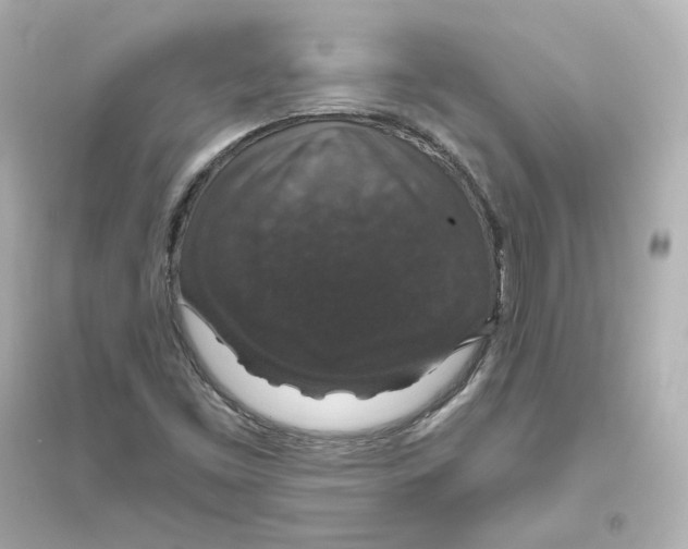 X0000093621453200711121225