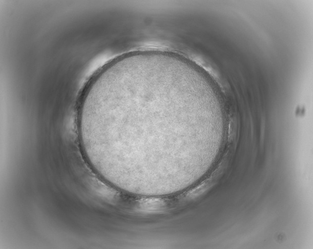 X0000093621454200711121225