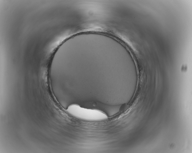 X0000093621455200711121225