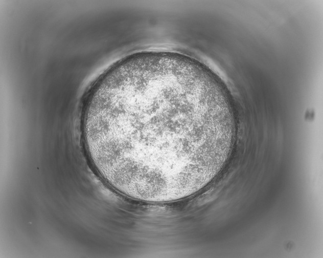 X0000093621456200711121225