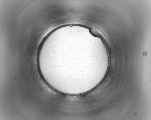 X0000093621460200711121224