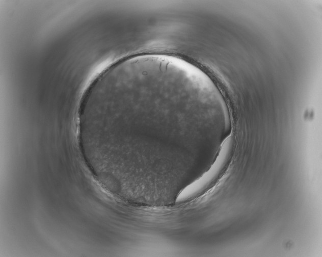 X0000093621461200711121224