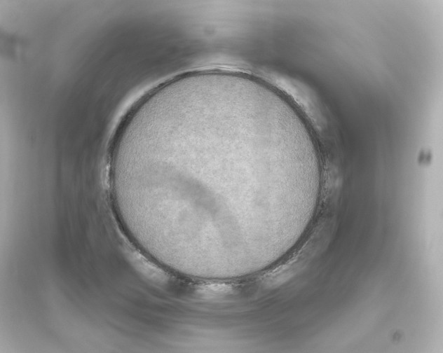 X0000093621462200711121224