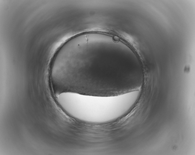 X0000093621463200711121224