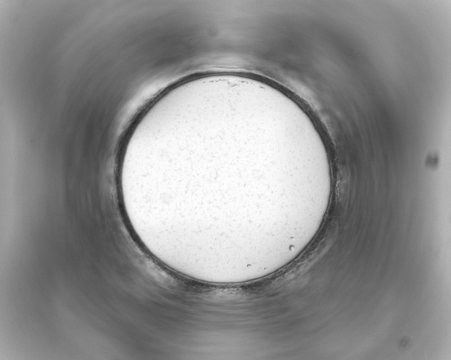 X0000093621464200711121224