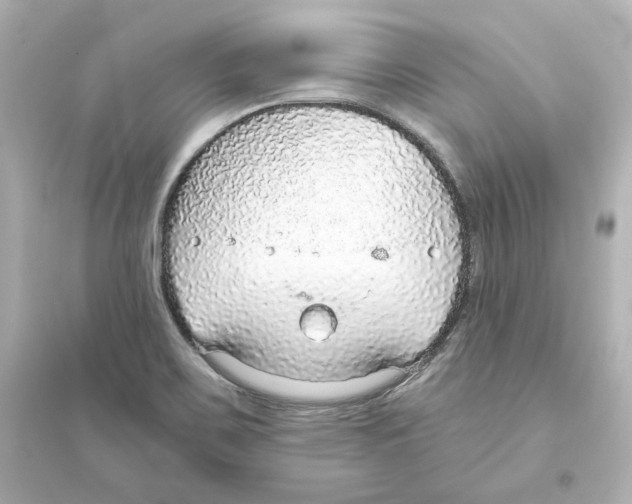 X0000093621467200711121224