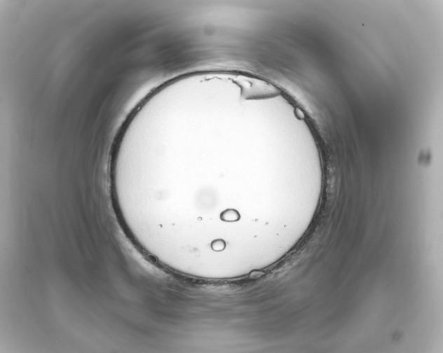 X0000093621468200711121224