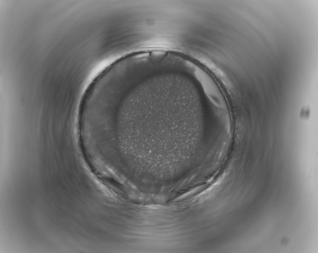 X0000093621469200711121224