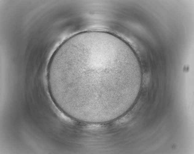 X0000093621470200711121224