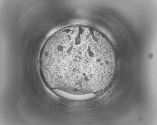 X0000093621471200711121224