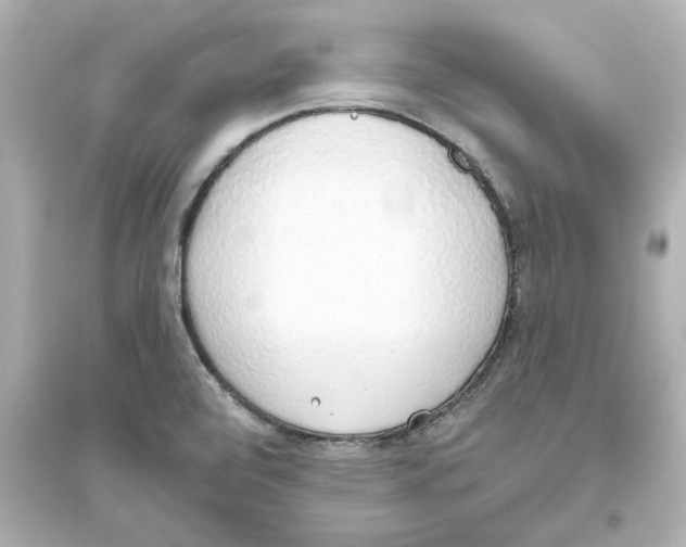 X0000093621472200711121224