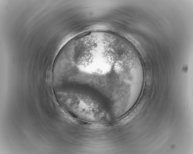 X0000093621473200711121224