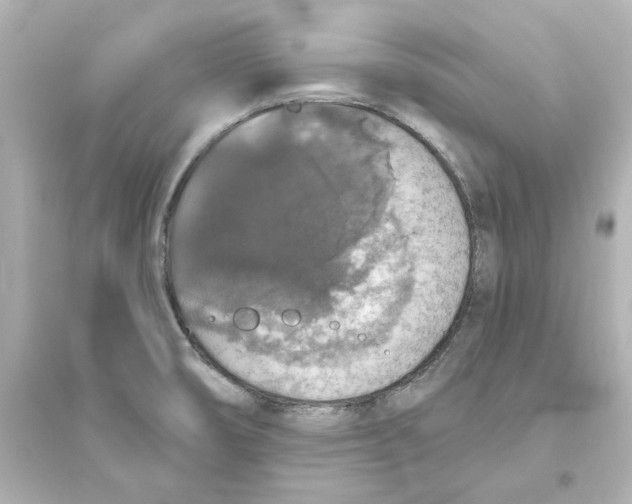 X0000093621474200711121224