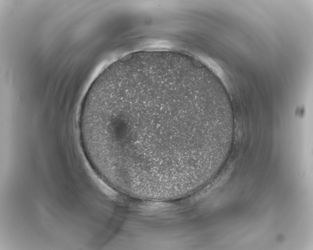 X0000093621475200711121224