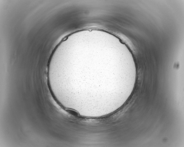 X0000093621476200711121224