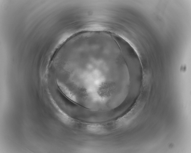 X0000093621477200711121224