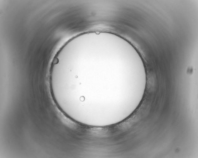 X0000093621478200711121224