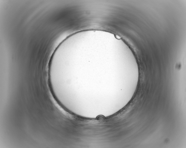 X0000093621479200711121224