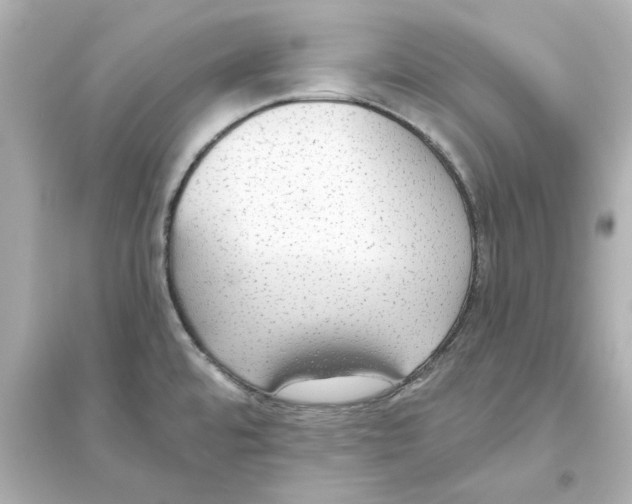 X0000093621480200711121224