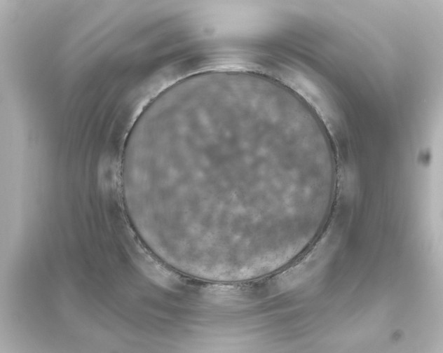 X0000093621481200711121224