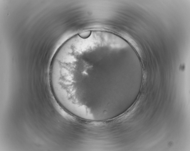 X0000093621482200711121224