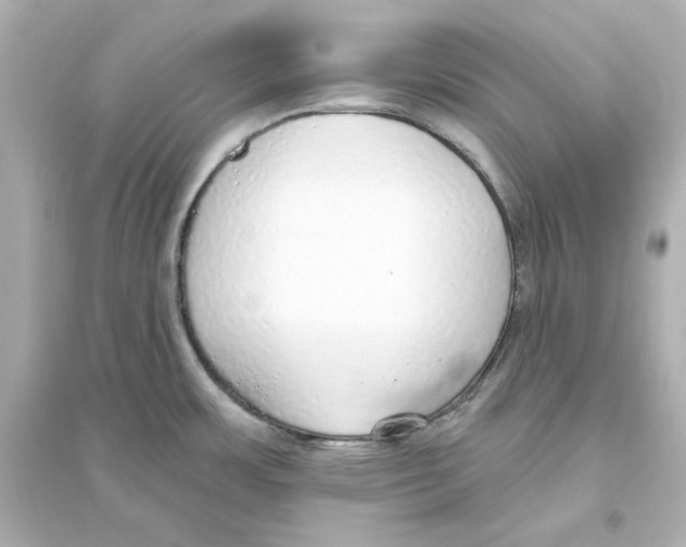 X0000093621483200711121224