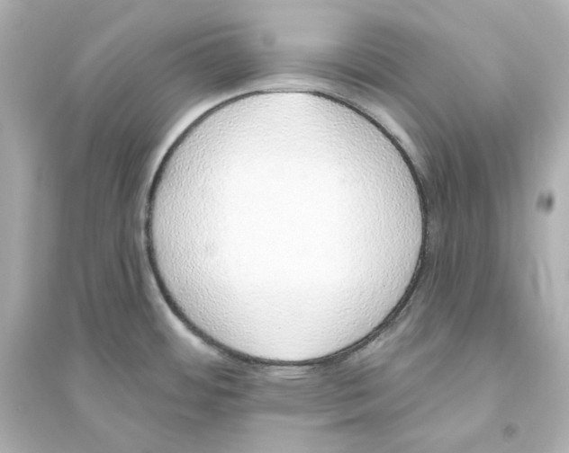 X0000093621484200711121224