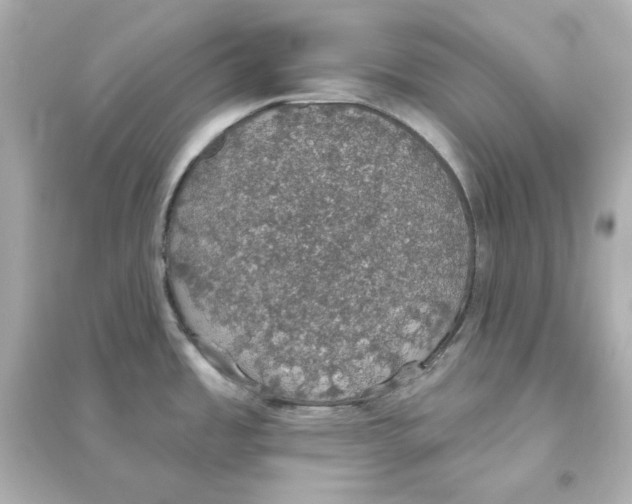 X0000093621485200711121224